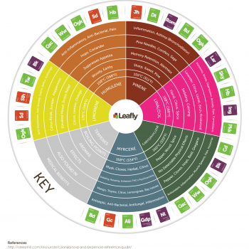 Leafly-Cannabis-Terpene-Wheel-Infographic