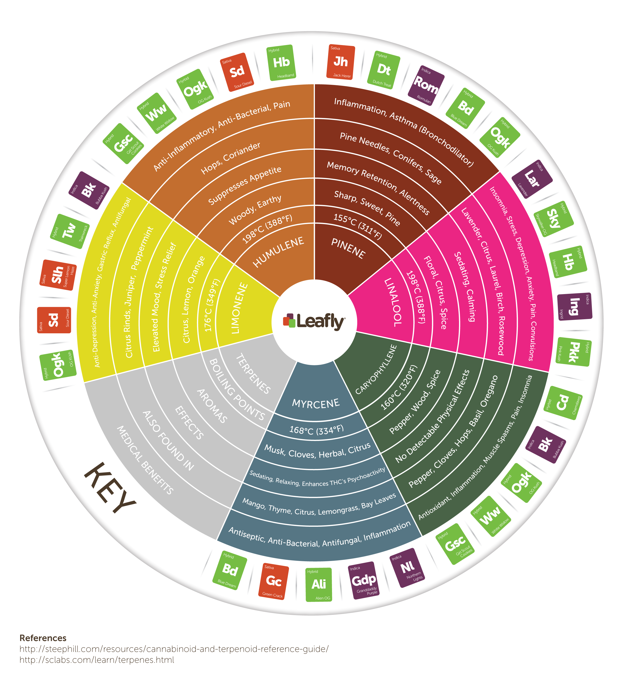 Leafly-Cannabis-Terpene-Wheel-Infographic
