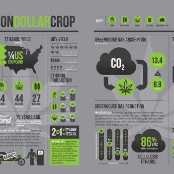 billion-dollar-crop-weed-infographic
