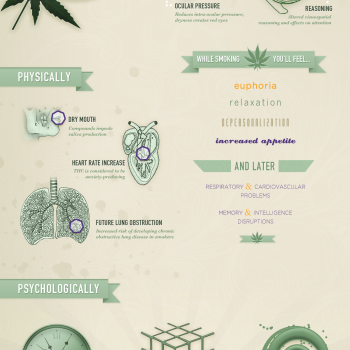 how-marijuana-effects-your-body