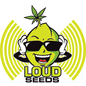 Loud Seeds