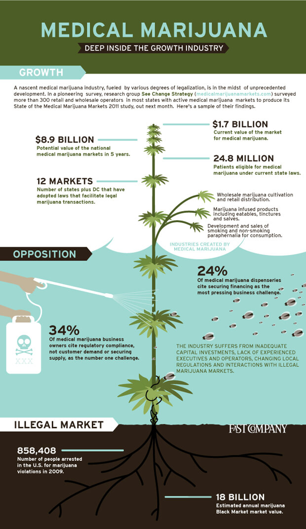 marijuana-industry-infographic-620