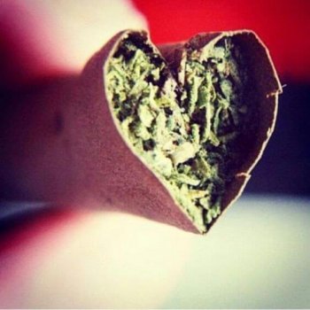 weed-weddings-love-cannabis