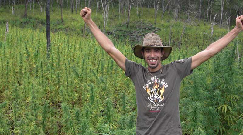 Franco Loja - RIP Cannabis Legend