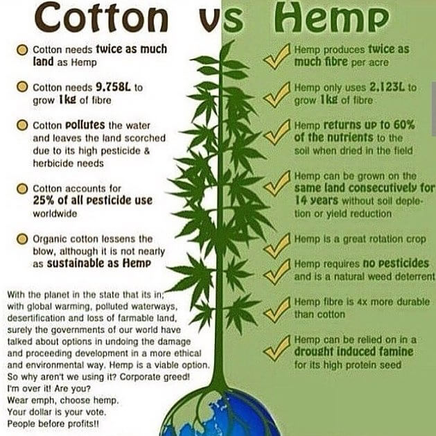 cotton_vs_hemp-infographic