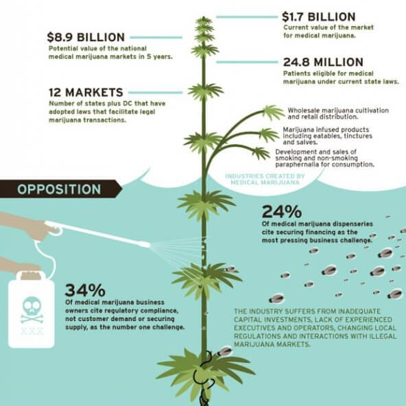 marijuana-industry-infographic-620