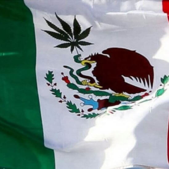 Mexico Legalizes Medical Marijuana